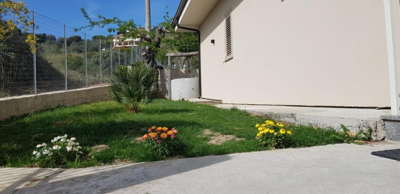 Villa Alice Capo Vaticano Εξωτερικό φωτογραφία